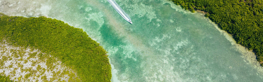 Florida's World Class Flats