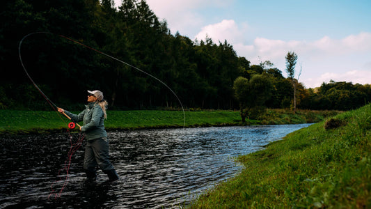 Wild Atlantic Salmon