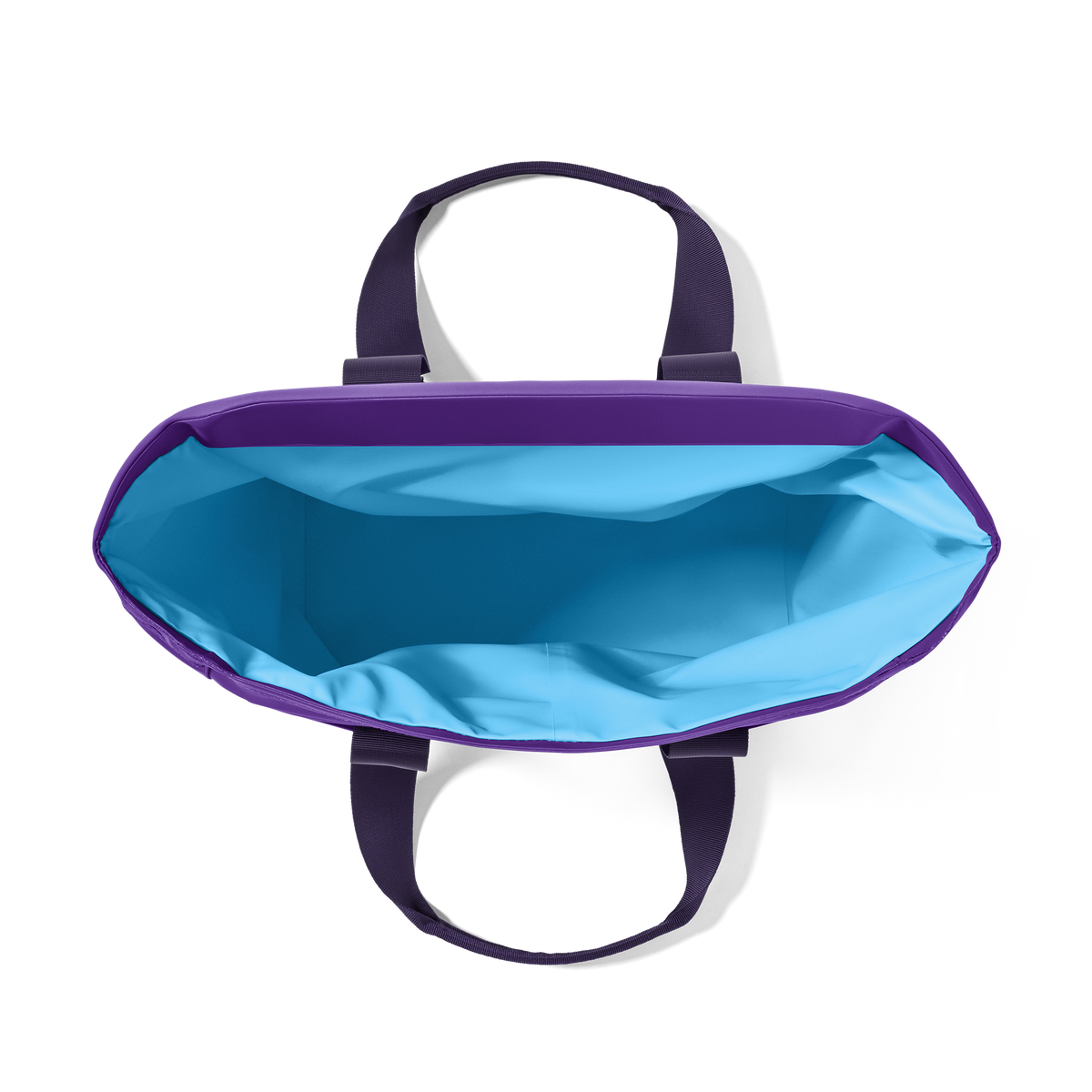 Daytrip® 20L Insulated Tote Bag Pace Purple/Blue