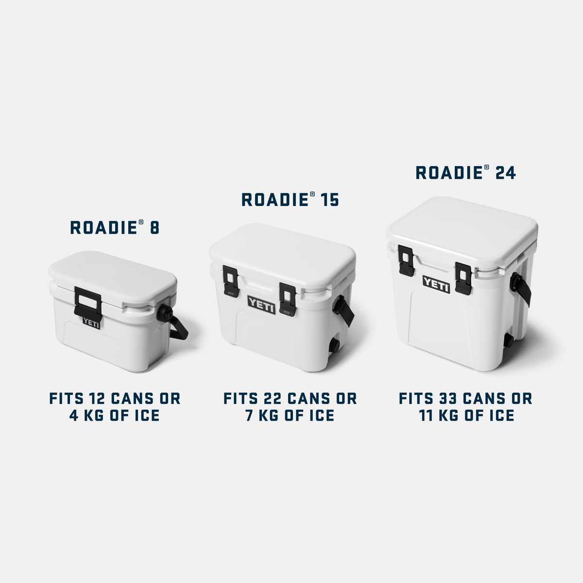 Roadie® 8 Hard Cooler Pace Purple/Blue