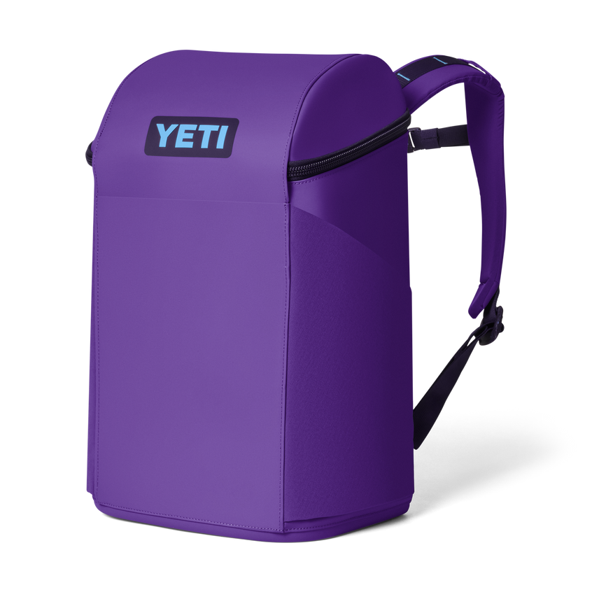 Daytrip® 20L Backpack Pace Purple/Blue