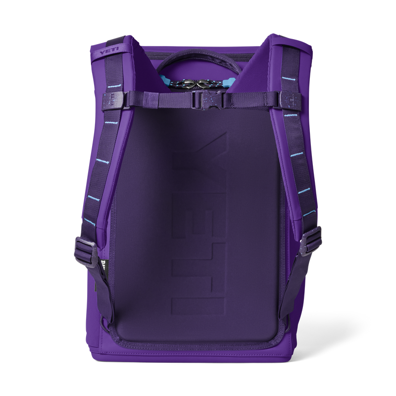 Daytrip® 20L Backpack Pace Purple/Blue