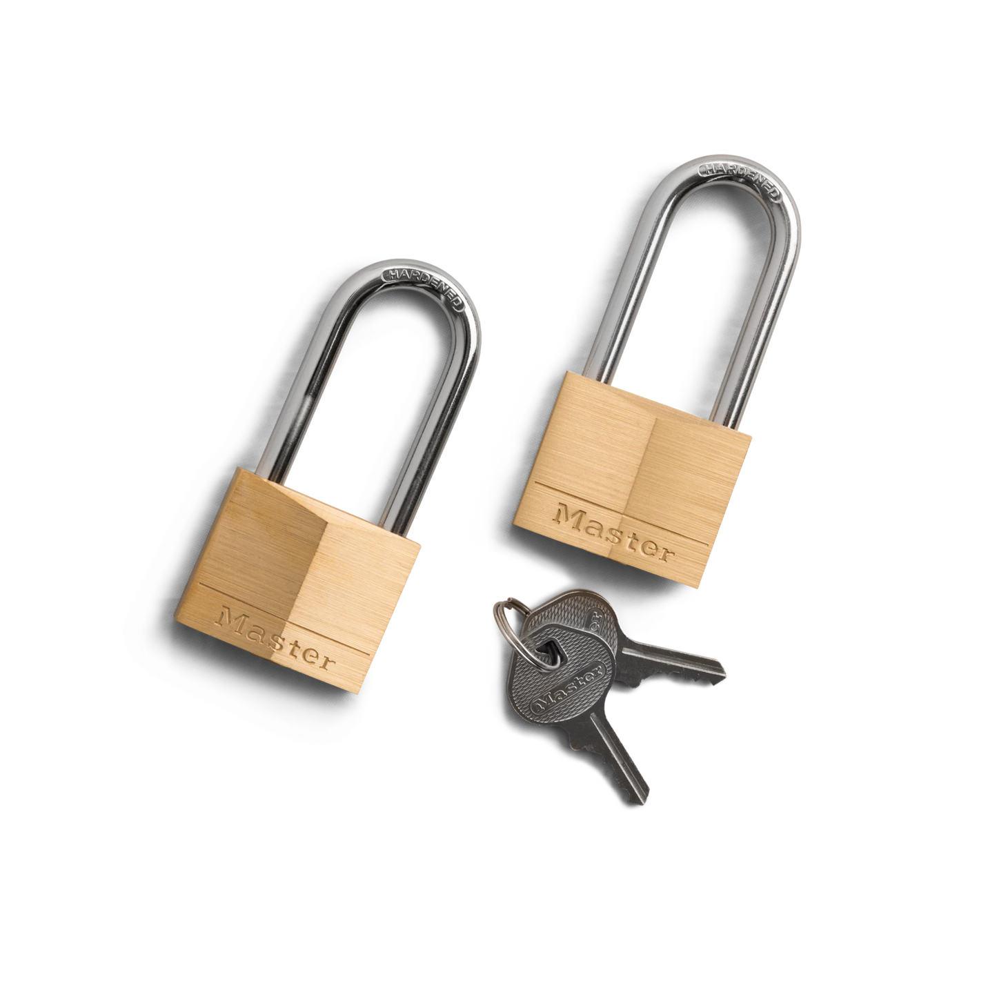 Bear-Proof Lock Two-Pack