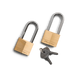 Bear-Proof Lock Two-Pack